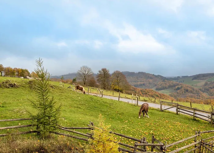 Апартаменты Bergliebe